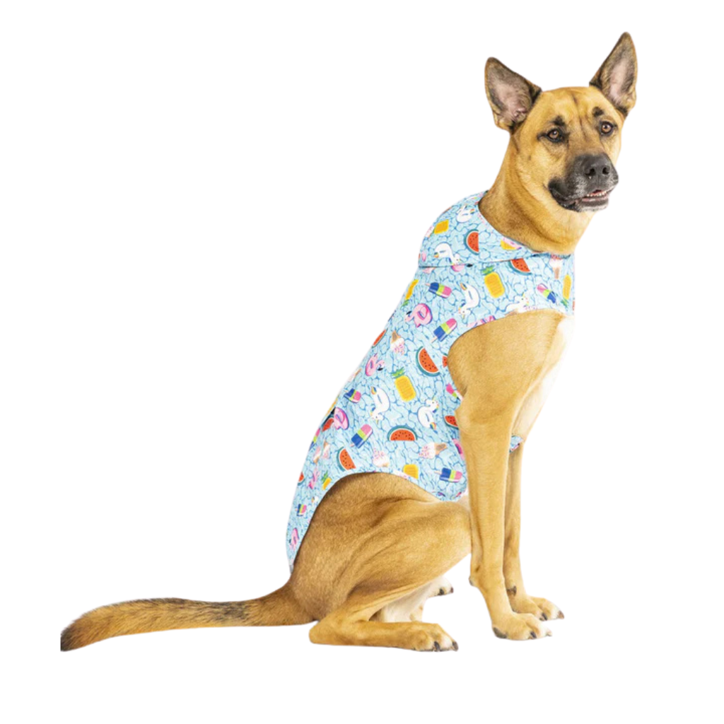 Canada Pooch Pick Me Poncho - Floaties