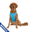 Canada Pooch Chill Seeker Cooling Vest