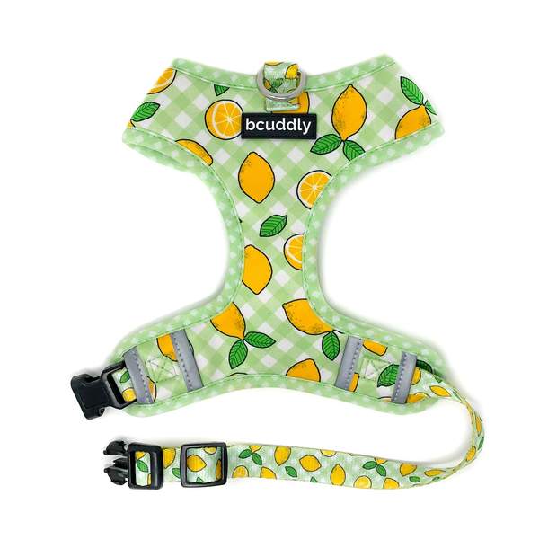 BCUDDLY Harness Lemons