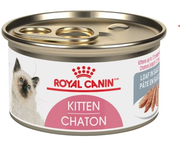 Royal Canin Kitten Cat Can
