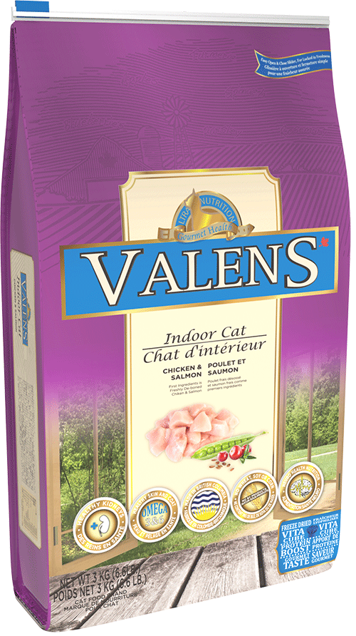 Valens Indoor Cat