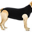 Suitical Recovery Suit for Dogs