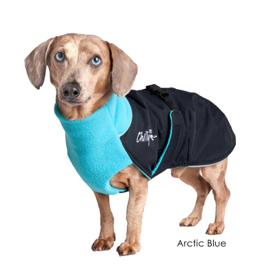 Chilly Dogs Great White North Winter Dog Coat - Arctic Blue