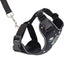 RC Pets Adventure Kitty Harness - Daisies