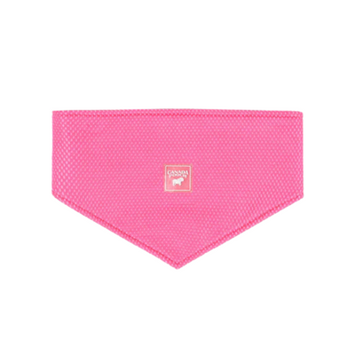 Canada Pooch Chill Seeker Cooling Bandana - Pink