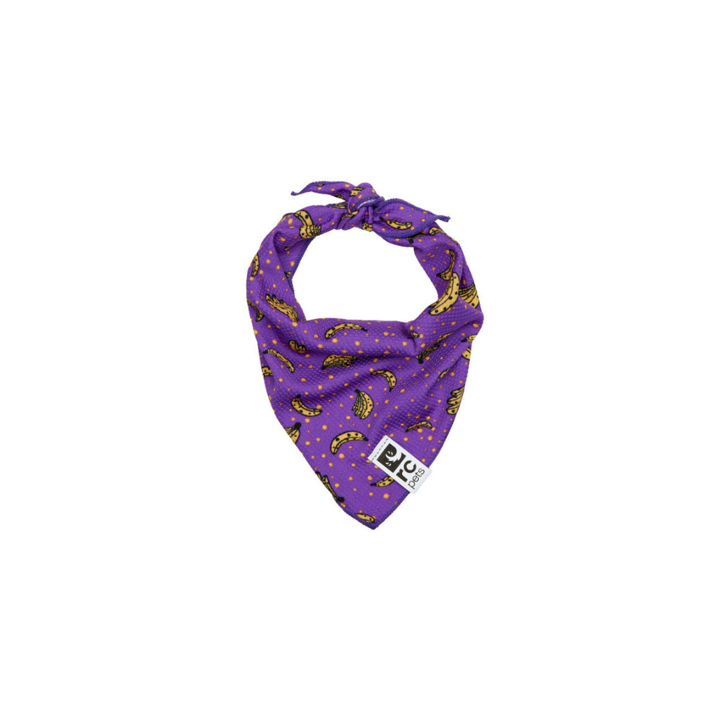 RC Pets Zephyr Cooling Bandana - Bananas