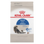 Royal Canin Indoor Adult Cat Food