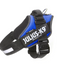 Julius-K9 Power Harness Blue