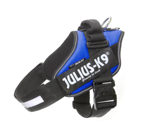 Julius-K9 Power Harness Blue