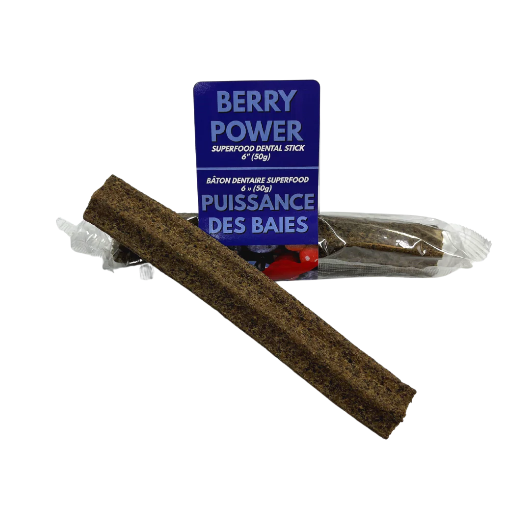 LIVSTRONG Berry Power Superfood 6" Dental Chew Dog Treat
