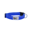 RC Pets Primary Clip Dog Collar - Royal Blue