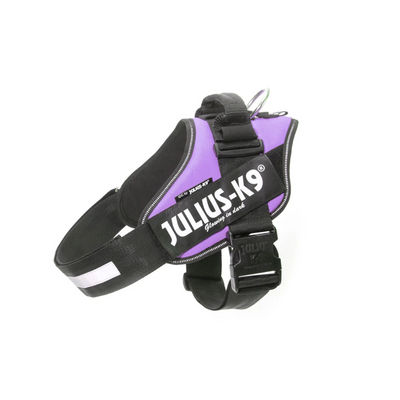 Julius-K9 IDC Powerharness - Purple