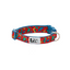 RC Pets Clip Dog Collar - Jurassic Park