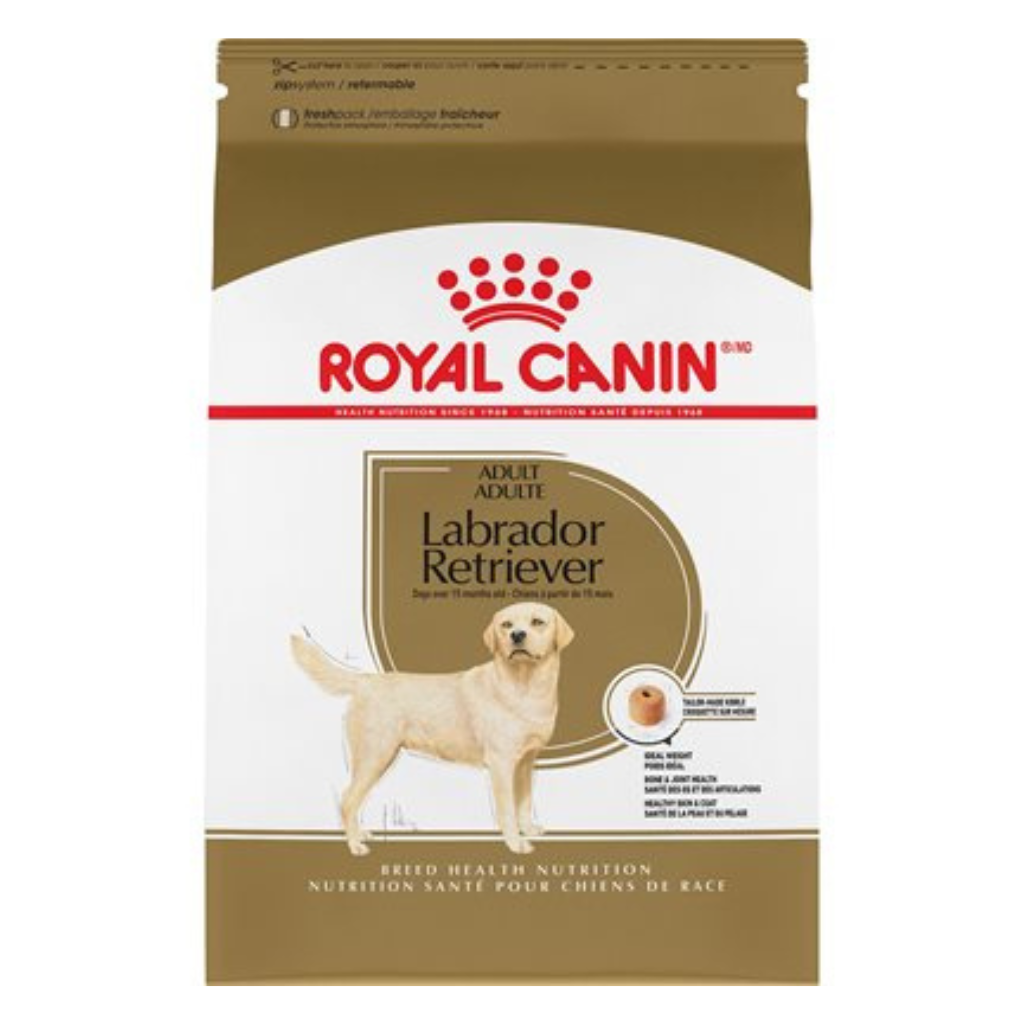 Royal Canin Breed Health Nutrition Labrador Retriever Adult Dog Food