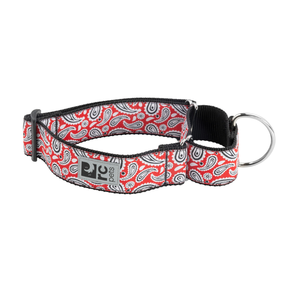 RC Pets All Webbing Training Dog Collar - Red Rebel