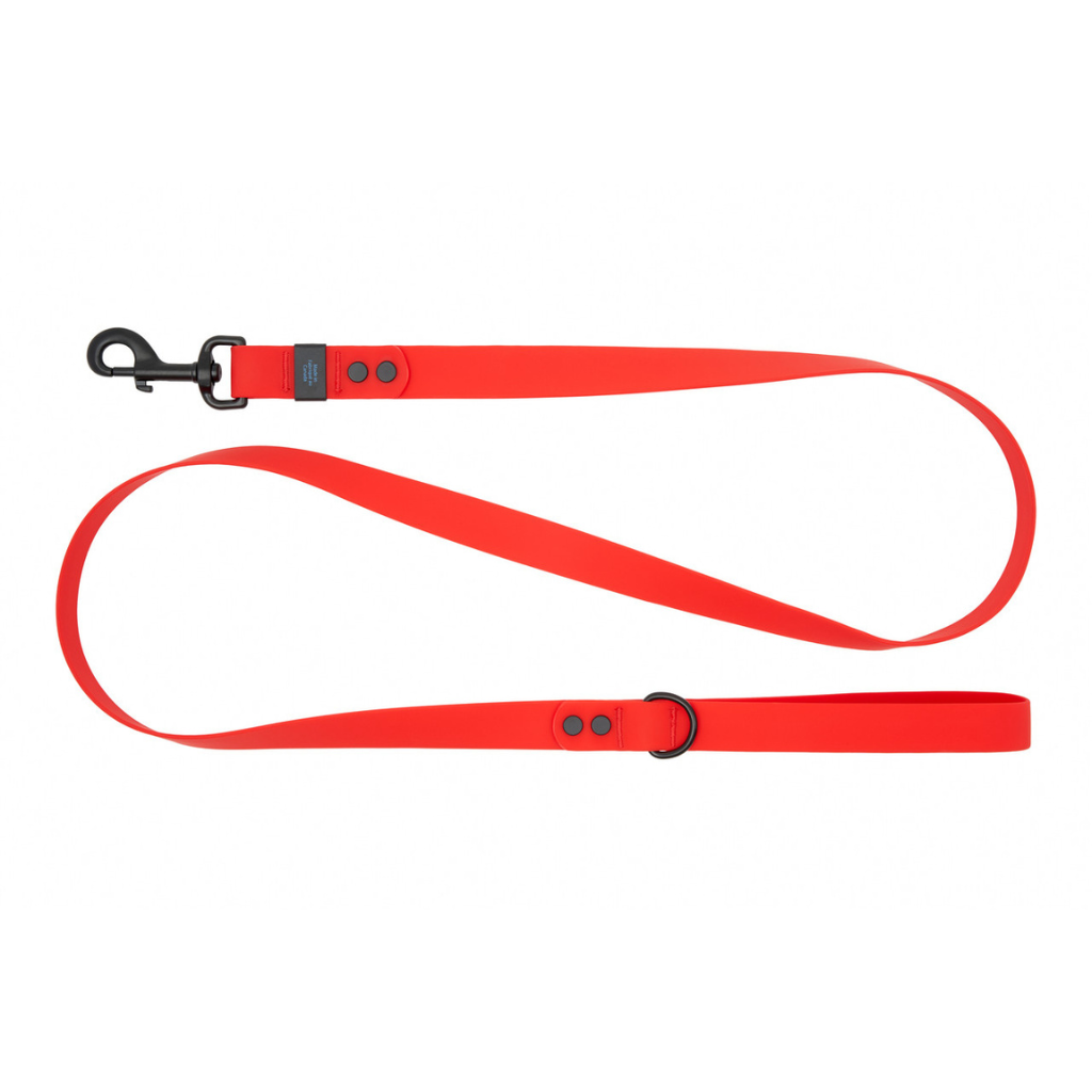 RC Pets Waterproof Leash 5' - Red