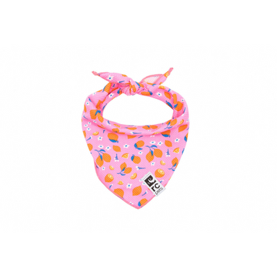 RC Pets Zephyr Cooling Bandana - Zesty