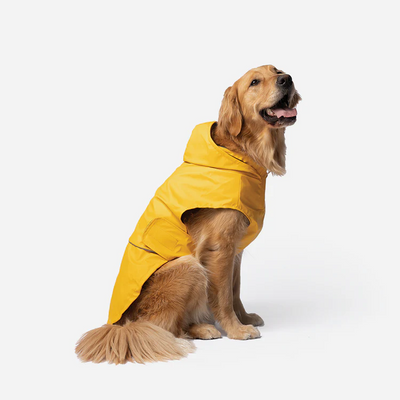 Silver Paw Aden 2.0 Dog Raincoat Yellow