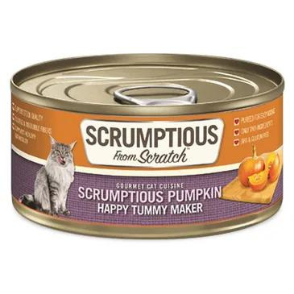 Scrumptious From Scratch Scrumptious Pumpkin Puree Cat Can