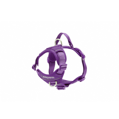 RC Pets Momentum Control Dog Harness - Purple