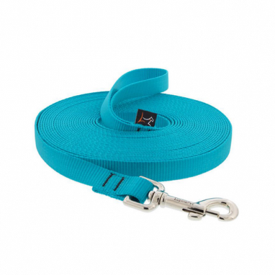 Lupine Basics Training Leads for Dogs - Aqua
