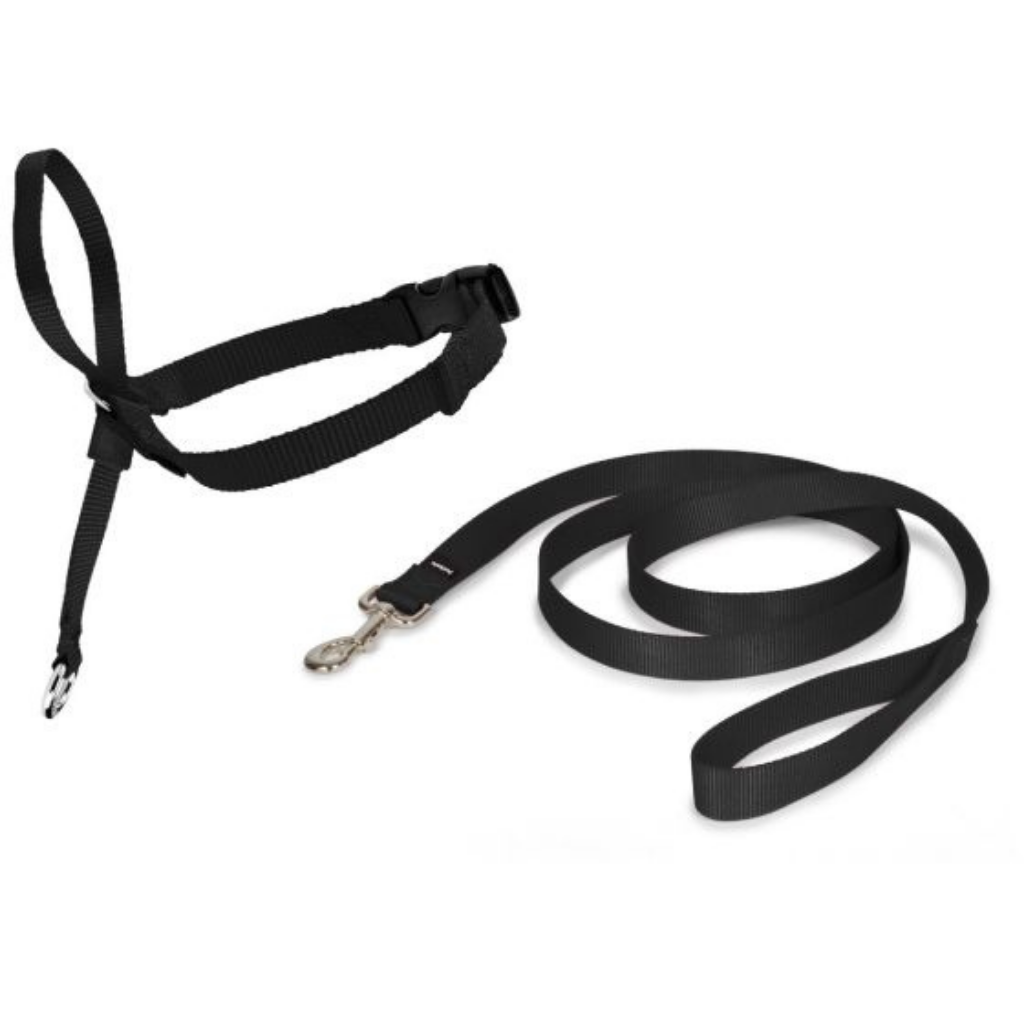 PetSafe Easy Walk Head Collar Black