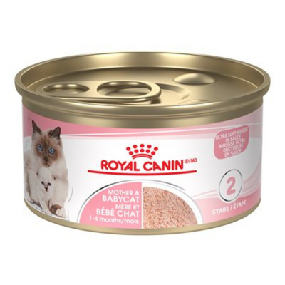 Royal Canin Mother & Babycat Ultra Soft Mousse Cat Can