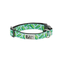 RC Pets Clip Dog Collar - Pickles