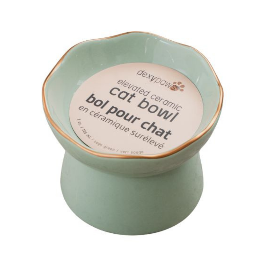 Dexypaws Raised Ceramic Cat Bowl, Sage Green