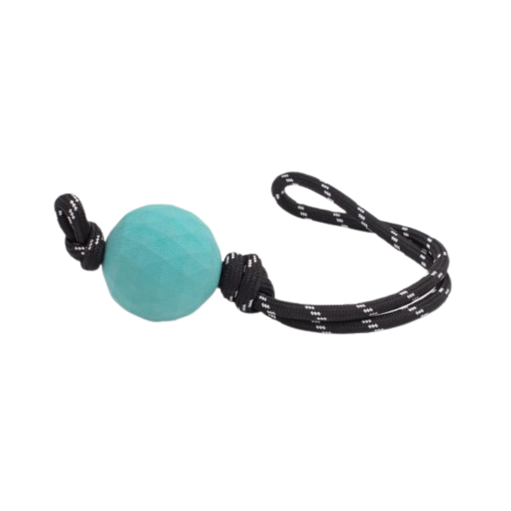 Zippy Paws Zippytuff Waggle Ropetugz Dog Toy