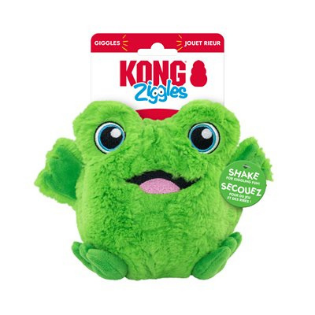 KONG Ziggles Frog Medium Dog Toy
