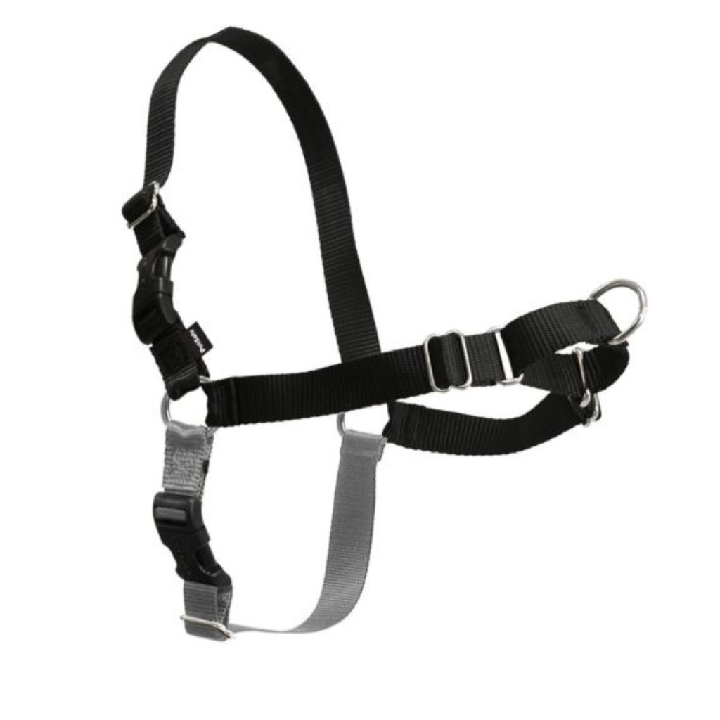 PetSafe Easy Walk Harness Black