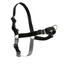 PetSafe Easy Walk Harness Black