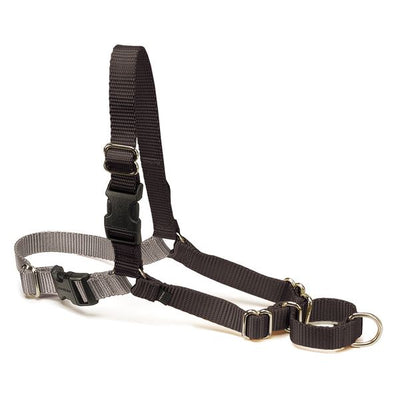 PetSafe EasyWalk Harness