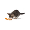 Petstages OrkaKat Catnip Wiggle Worm Interactive Cat Toy