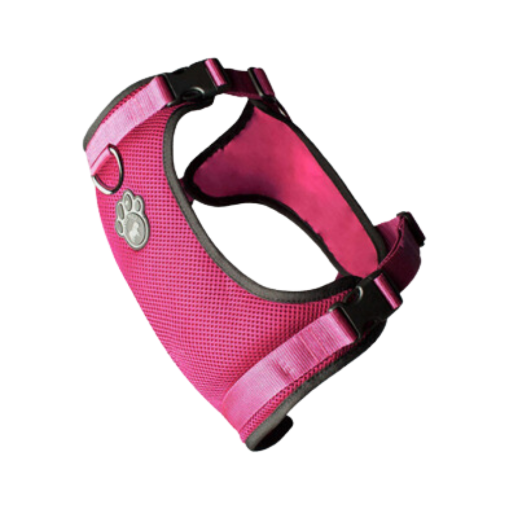 Canada Pooch Everything Mesh Harness - Pink