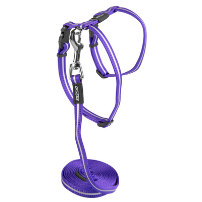 Rogz AlleyCat Classic Harness and Lead Set - Purple