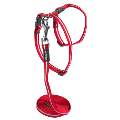 Rogz AlleyCat Classic Harness and Lead Set - Red