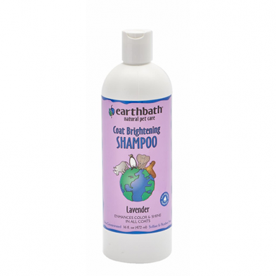 Earthbath Coat Brightening Shampoo