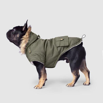 Canada Pooch Alaskan Army Parka