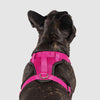 Canada Pooch Everything Mesh Harness Pink