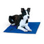 K&H Coolin' Pet Pad