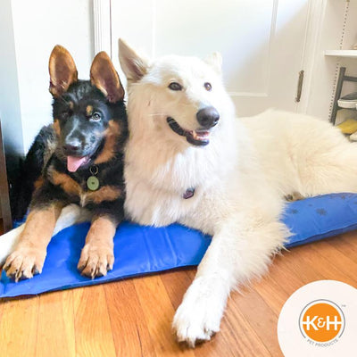 K&H Pet Products Coolin' Pet Pad
