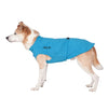 Chilly Dog Soaker Robe