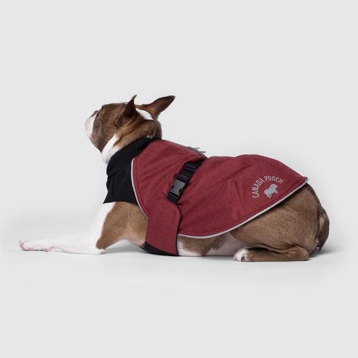 Canada hot sale pooch parka