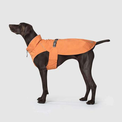 Canada Pooch Expedition Dog Raincoat