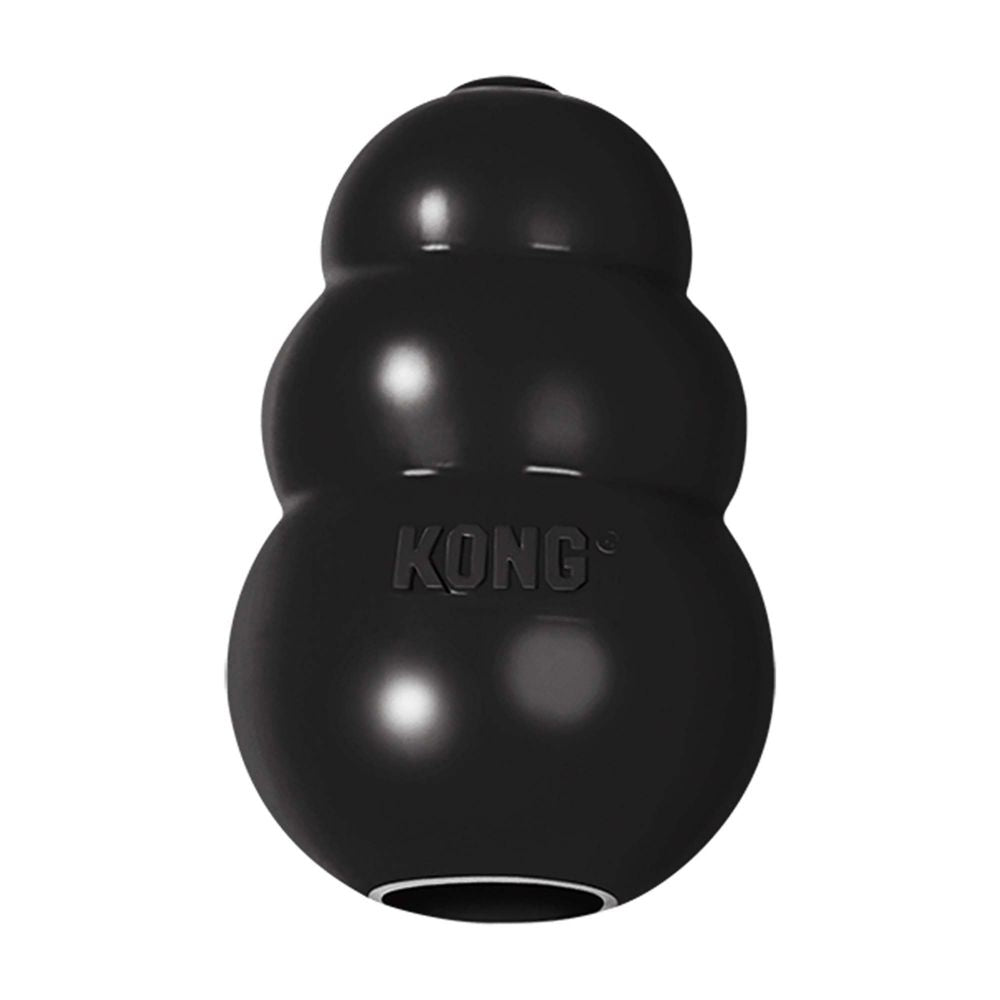 Kong classic clearance