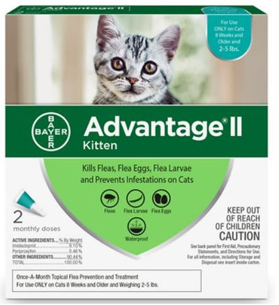 Bayer Advantage Kitten 4pk Kittens under 2.3kg