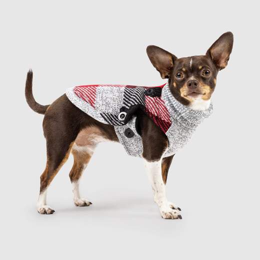 Knitted Dog Clothes -  Canada
