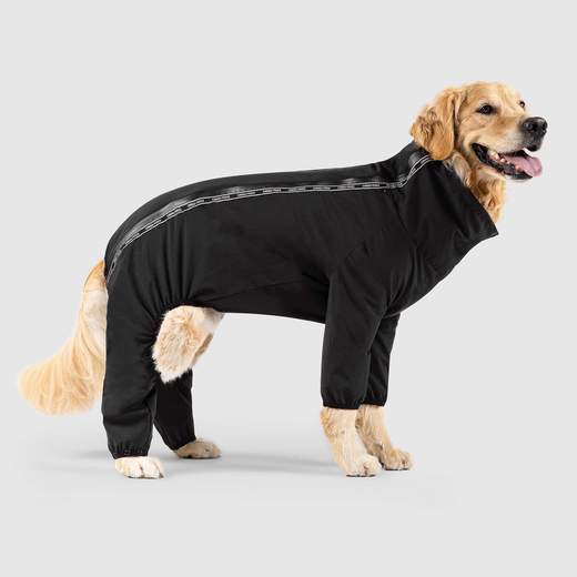 Canada pooch expedition on sale coat